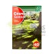 Semillas Césped Sombra 1KG Rocalba