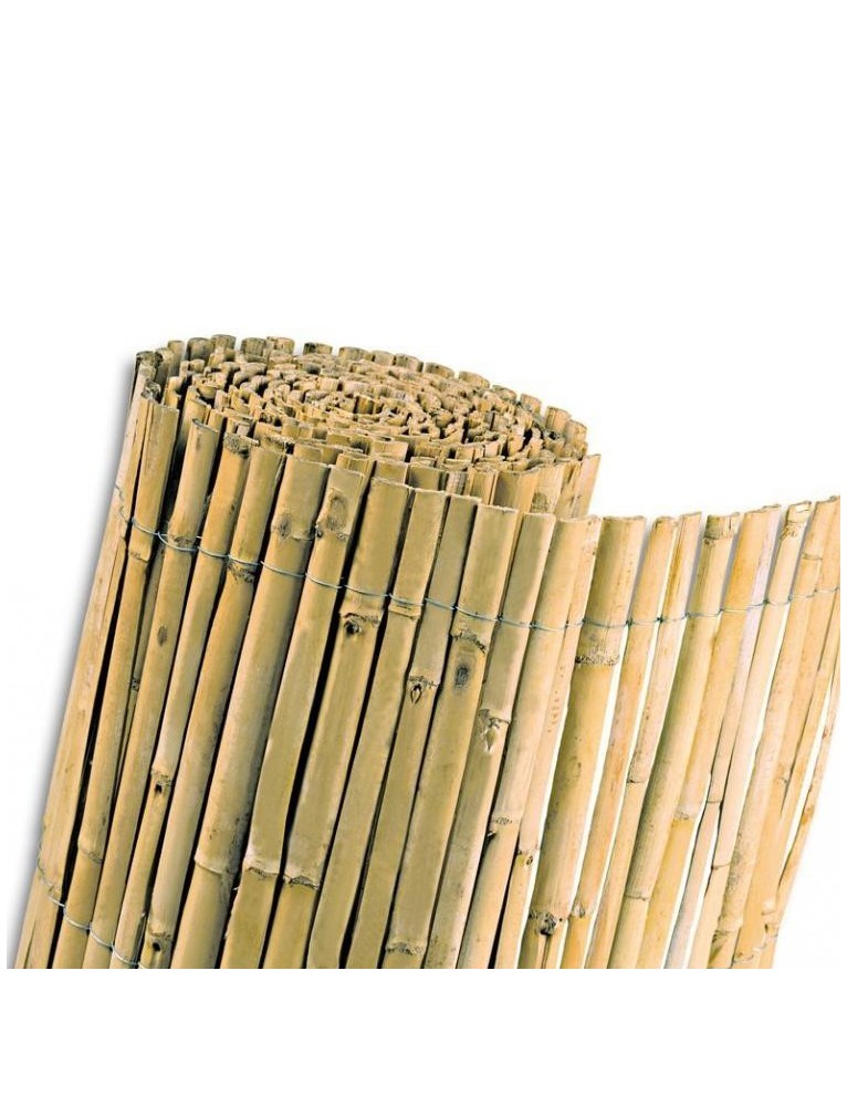 Bambú Chino Partido Ancho 1,5X5 metros
