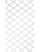 Celosía extensible Trelliwood Blanca 1x2 metros NORTENE
