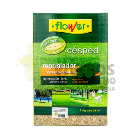 Semillas Césped Repoblador 1KG Flower