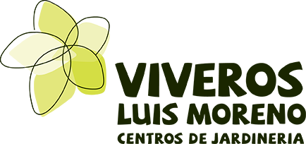 Viveros Jaén Luis Moreno - Tienda Online